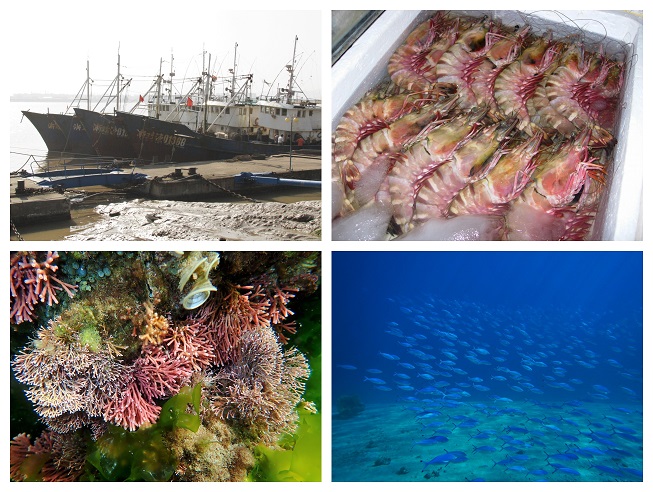 Food from the Sea collage